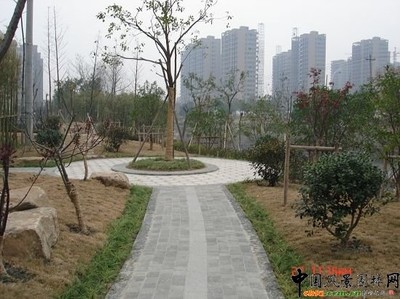 杭州鎮(zhèn)東河景觀工程