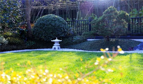 融創莫干溪谷景觀工程 賽石精品工程的匠心之作